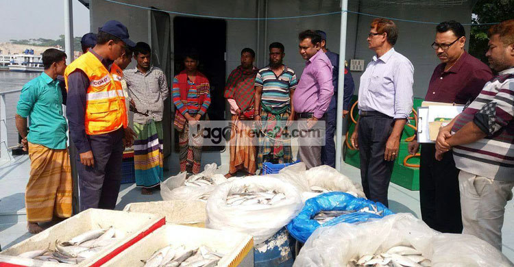 লক্ষ্মীপুরে ১০ মণ জাটকা জব্দ, আটক ৪