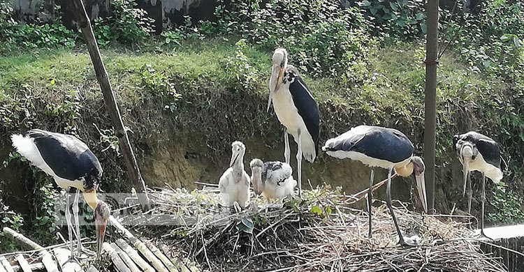 মদনটাকের ঘরে চার অতিথি