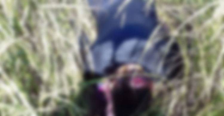 ধানখেতে মিলল তরুণীর মরদেহ