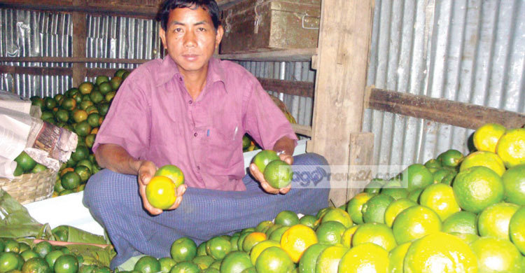 কমলার ডজন ৩০ টাকা