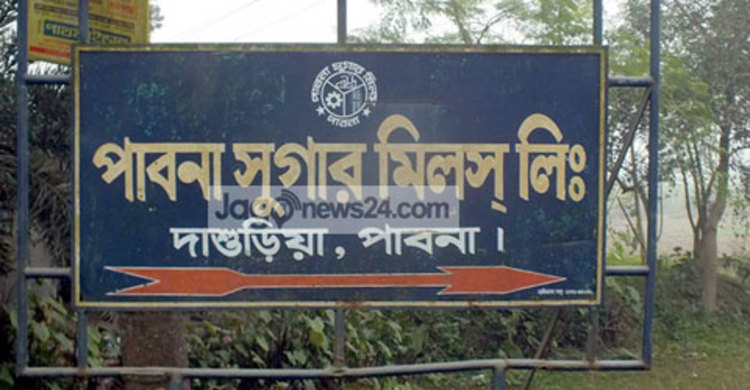 লোকসান নিয়েই পাবনা সুগার মিলে আখ মাড়াই শুরু