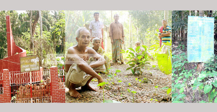 রাজাপুর হানাদার মুক্ত দিবস আজ