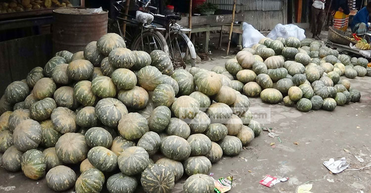 মিষ্টি কুমড়া আবাদে ঝুঁকছেন কৃষকরা