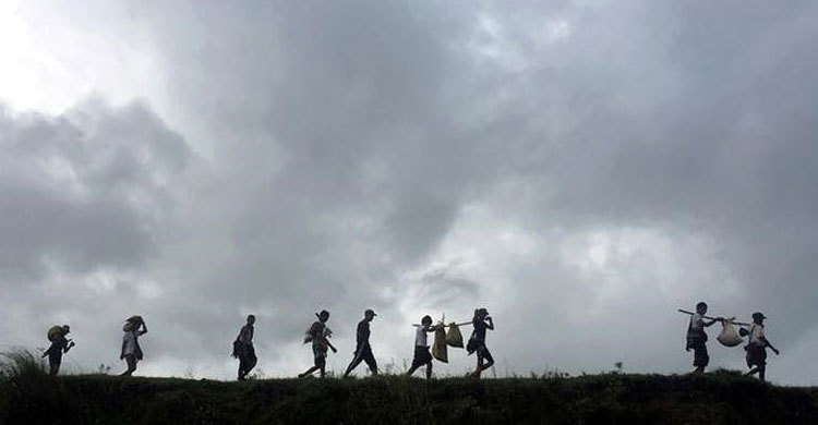 8 Rohingyas detained in India, were trying to cross into Bangladesh