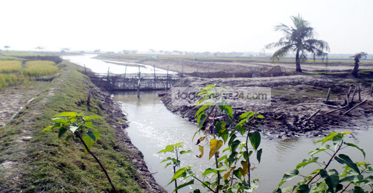 সরকারি খালে বাঁধ দিয়ে মাছ চাষ