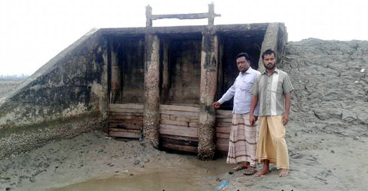 স্লুইচ গেটে আটকে আছে লবণ উৎপাদন