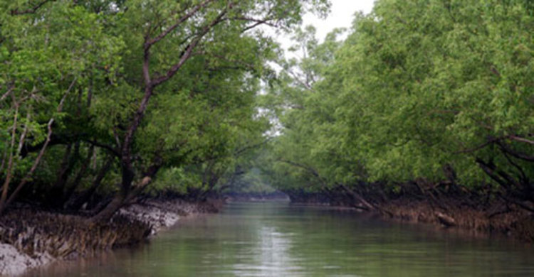 সুন্দরবনে মুক্তিপণের দাবিতে ছয় জেলে অপহরণ