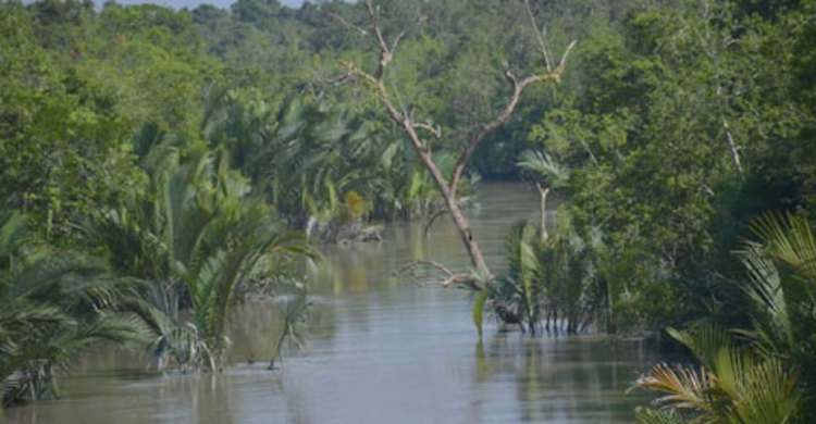 সুন্দরবনে তিন দিনে ৩৮ জেলে অপহৃত