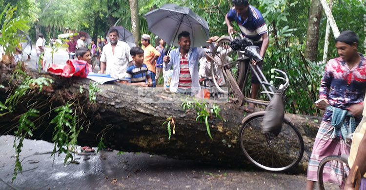 ডুবে গেছে রাস্তা-ঘাট, রয়েছে বিদ্যুৎ বিচ্ছিন্ন