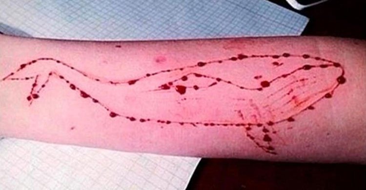 HC directs govt to block Blue Whale game