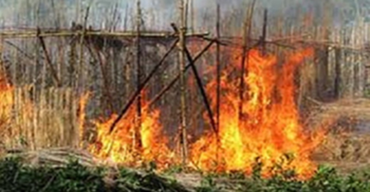 শৈলকুপায় পানের বরজে আগুন