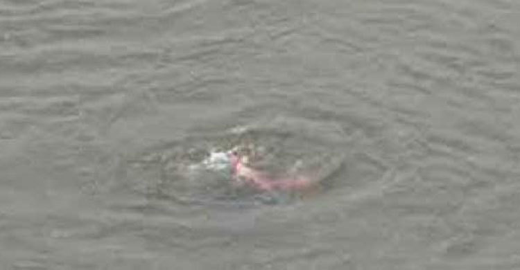 নীলফামারীতে পুকুরে ডুবে দুই শিশুর মৃত্যু