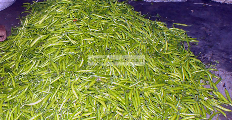 দিনাজপুরে সবজির দাম কমলেও বেড়েছে কাঁচা মরিচের দাম