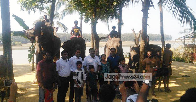 হাতি-মানুষের দ্বন্দ্ব তুলে ধরে চার বন্যহাতির ‘এলিফ্যান্ট শো’