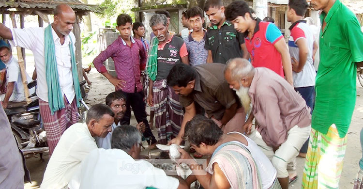 পদ্মা নদীতে নিষেধাজ্ঞা অমান্য করে চলছে ইলিশ শিকার