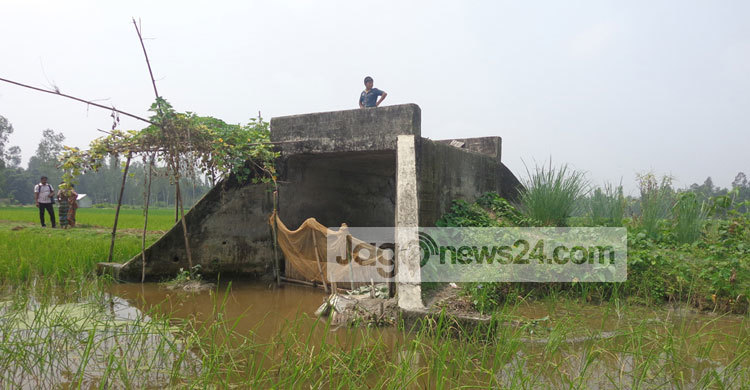 রাস্তা থেকে ৬ ফুট উঁচুতে কালভার্ট, এক যুগ যোগাযোগ বন্ধ
