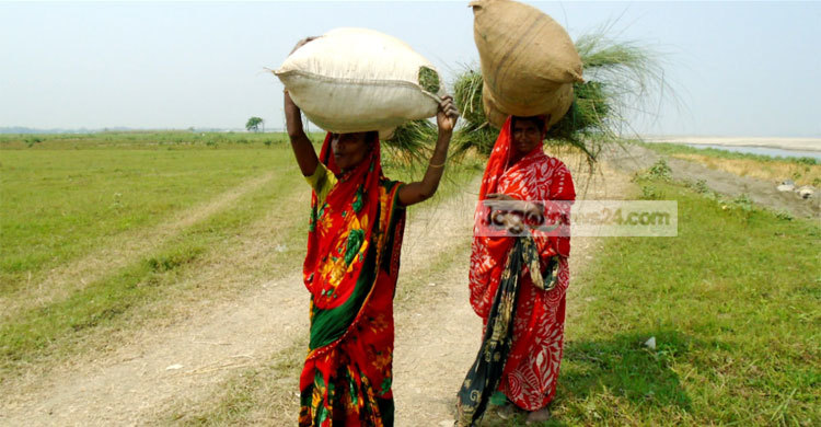 ওদের জীবন চলে ঘাস বিক্রি করে