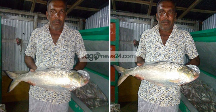 দশ হাজার টাকায় তিন কেজি ওজনের ইলিশ
