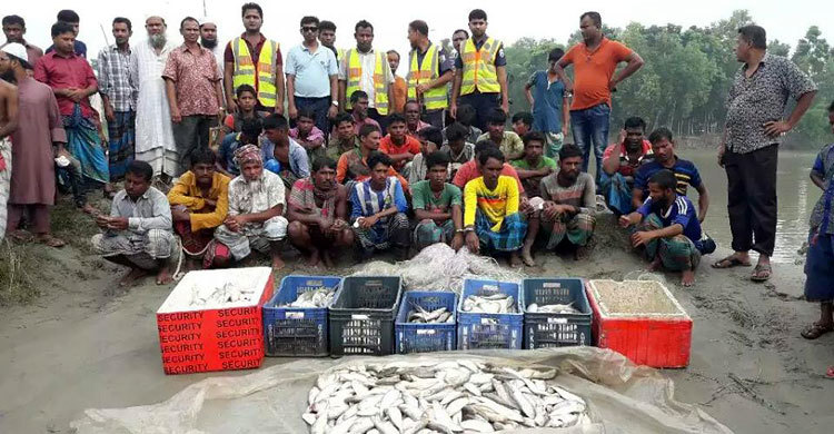 ইলিশ শিকারের দায়ে নড়িয়ায় ২৭ জেলে আটক
