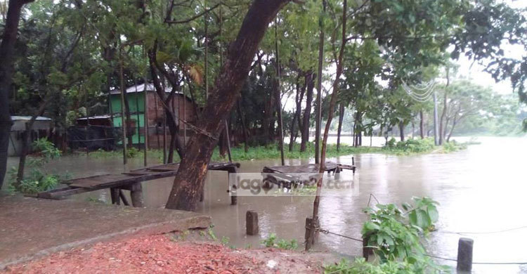 টানা বৃষ্টিতে ঝালকাঠির নিম্নাঞ্চল প্লাবিত
