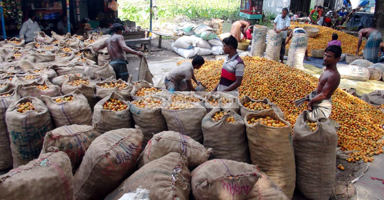 বিদেশে রফতানি হচ্ছে ঝালকাঠির সুপারি
