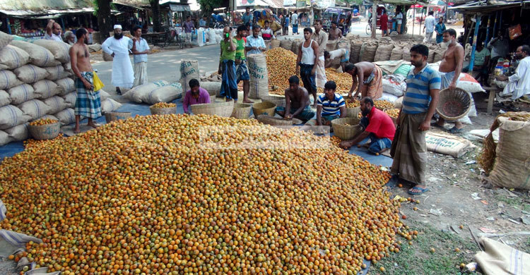 JHALAKATI-SUPARI-(1)ms