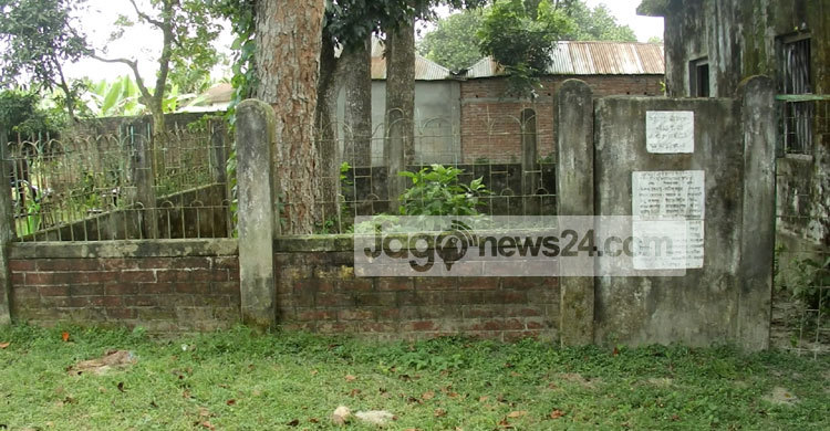 জঙ্গলে ছেয়ে গেছে আবাইপুরের গণকবর