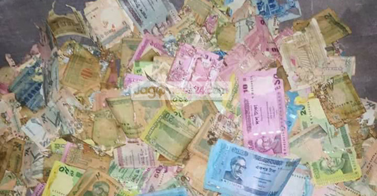 ‘বাবার টাকা খেল উইপোকা’