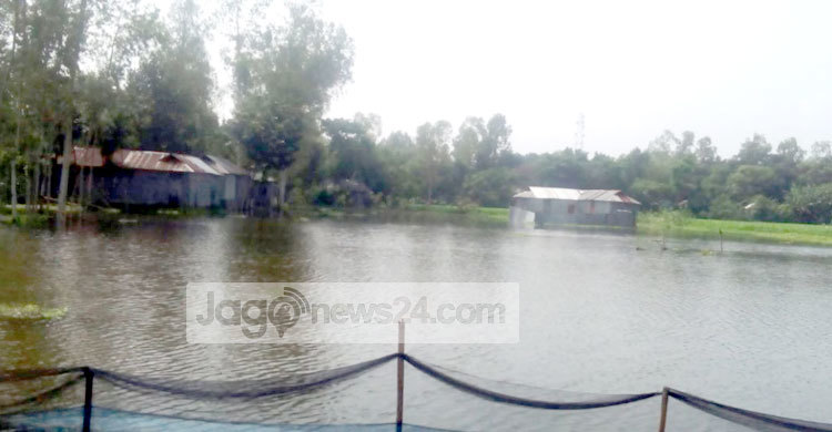 ক্ষতি ৬ কোটি টাকার, তবুও স্বপ্ন বুনছেন চাষিরা