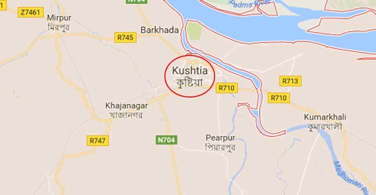 কুষ্টিয়ায় সাংবাদিক দম্পতির ওপর হামলা