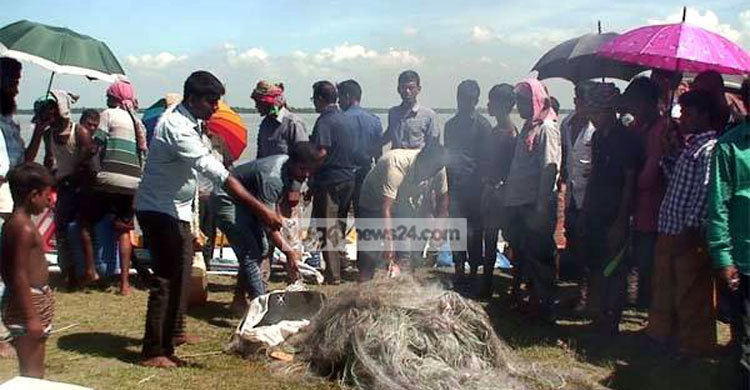মা ইলিশ রক্ষায় ২২ দিনে মানিকগঞ্জে ৬১৭ জনের সাজা