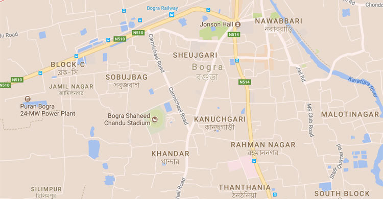 বগুড়ায় বিধবাকে কুপিয়ে হত্যা