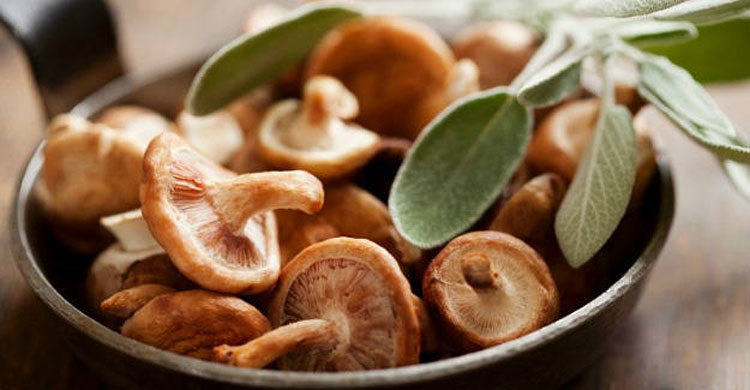 How to cook mushrooms: from morels to portobello and shiitake