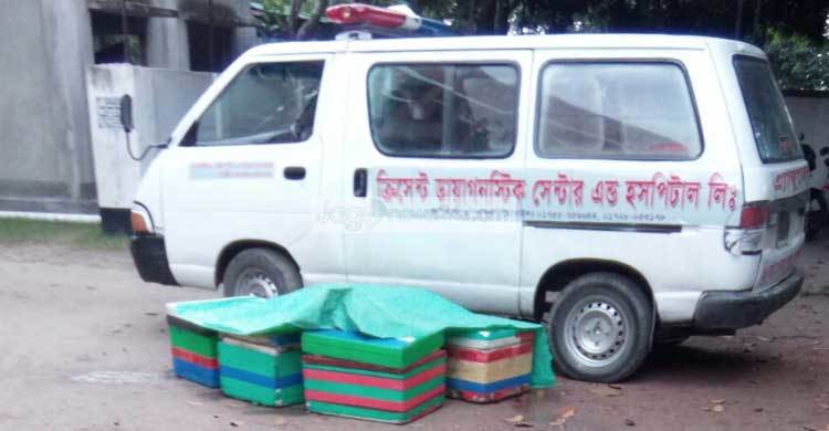 অ্যাম্বুলেন্সের ভেতর ৭ মণ ইলিশ