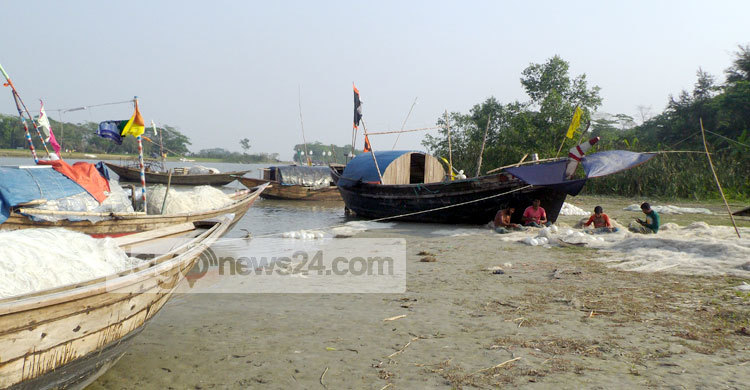 ইলিশ ধরা বন্ধে বাড়বে অন্যান্য মাছও