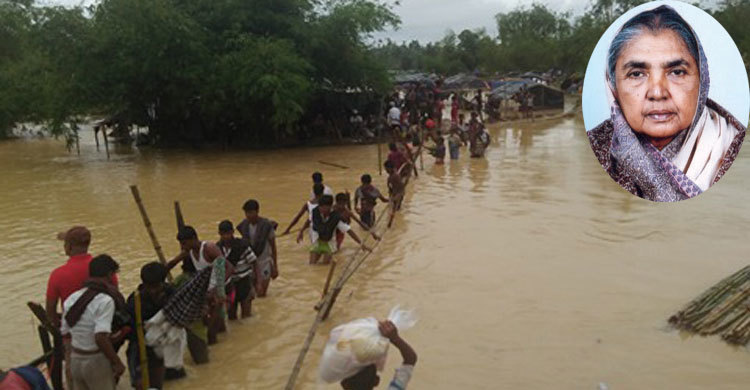 রোহিঙ্গাদের জন্য এক লাখ টাকা অনুদান দিলেন কৃষিমন্ত্রী