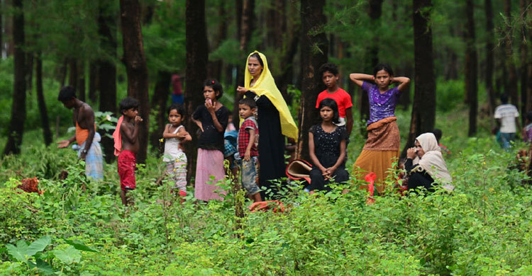 Rohingya crisis: UK bans military training in Myanmar