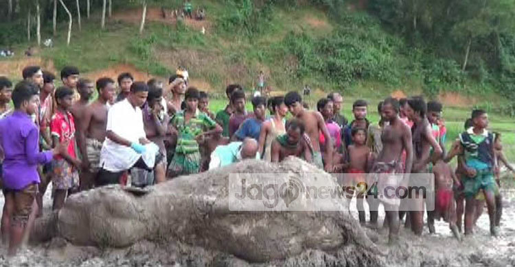 শেরপুরে সীমান্তে ফের বন্যহাতির মরদেহ