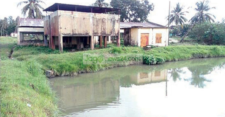 সমস্যায় জর্জরিত উল্লাপাড়া সরকারি মৎস্য হ্যাচারি