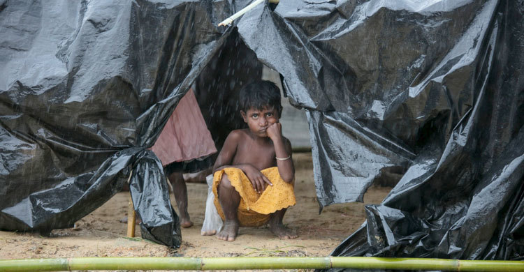 rohingya