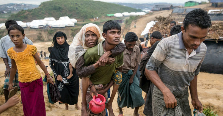 rohingya