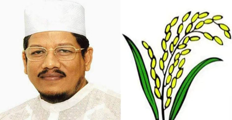 জোটের মনোনয়ন পেলেও 'ধানের শীষ' পাচ্ছেন না হামিদ আযাদ