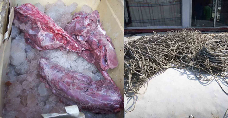 বনে মিলল ২২ কেজি হরিণের মাংস