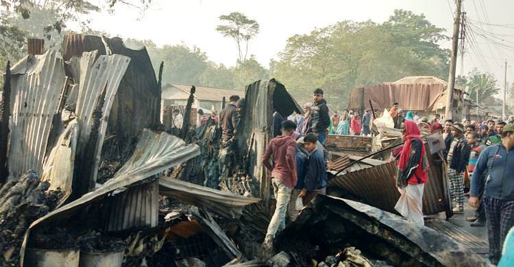 ফরিদপুরে বাজারে আগুন, ১৩ দোকান ভস্মীভূত
