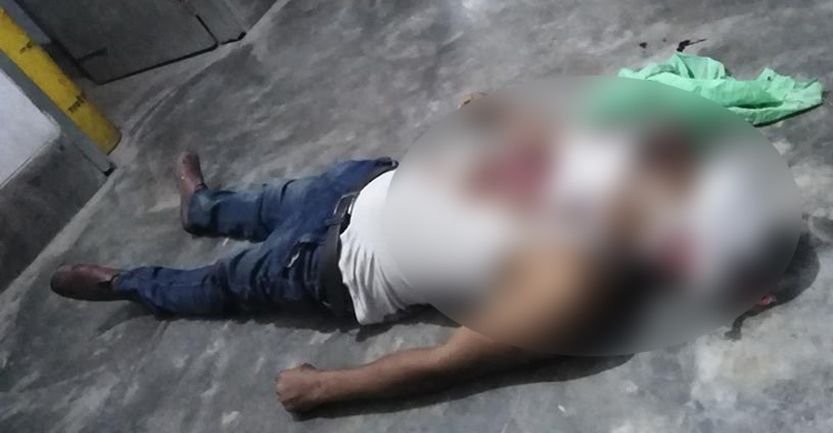 বাসচাপায় প্রাণ গেল দুই ভাইয়ের