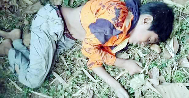 বাড়ির পেছনে পড়েছিল ছোট্ট নিফাতের নিথর দেহ