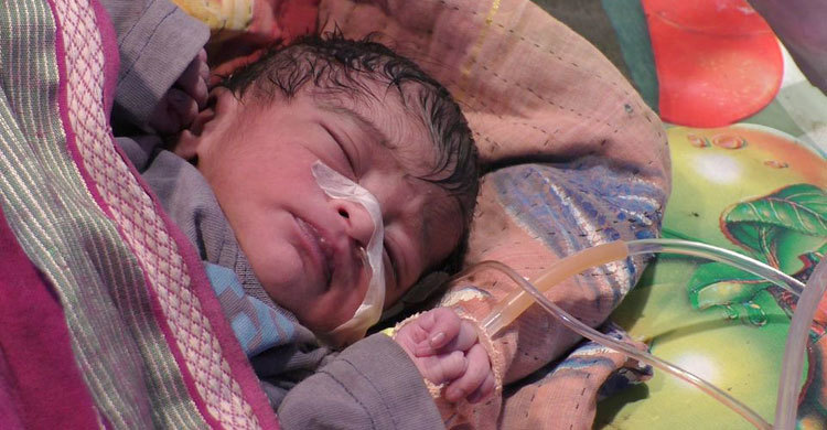 এত অবহেলা বুঝি সইল না ওর