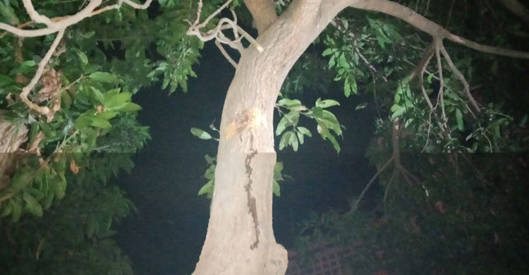 গাংনীতে বিএনপি নেতার বাসায় গুলি, ককটেল নিক্ষেপ