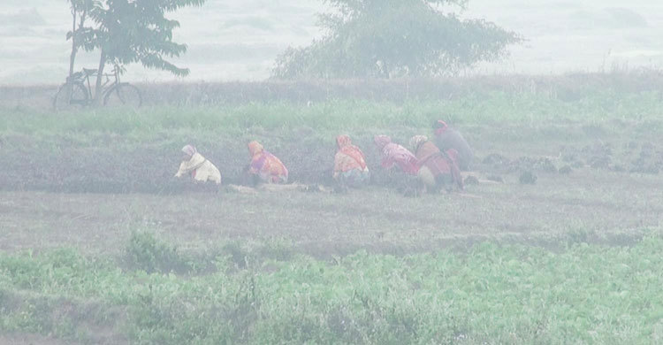 পঞ্চগড়ে সর্বনিম্ন তাপমাত্রার রেকর্ড