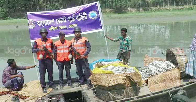 ভোলায় ২৫ মণ জাটকা জব্দ, ২৮ জেলে আটক